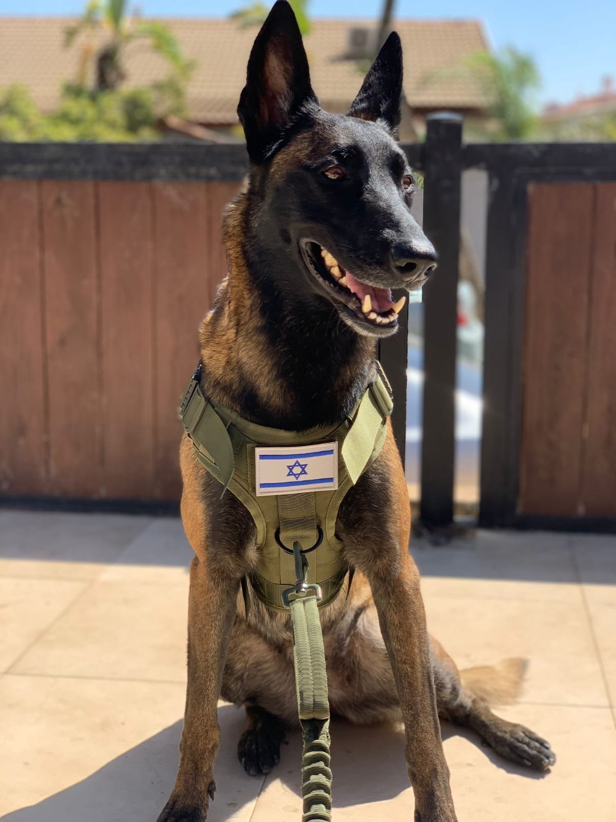 ריתמת כלבים צבאית k9 חצי גוף