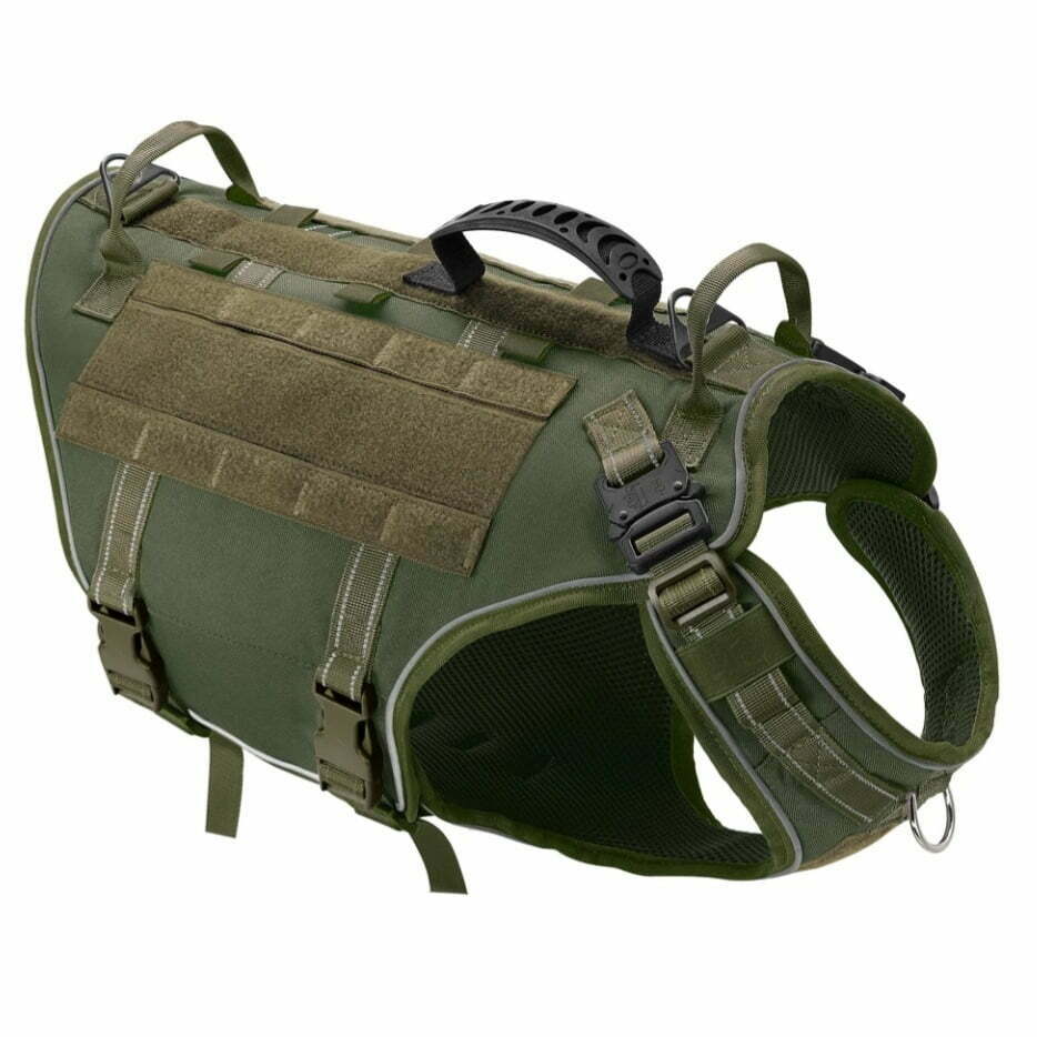 K9 ירוק זית