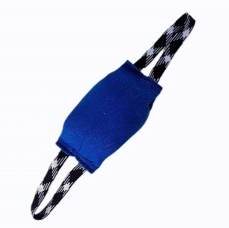 ביס כחול